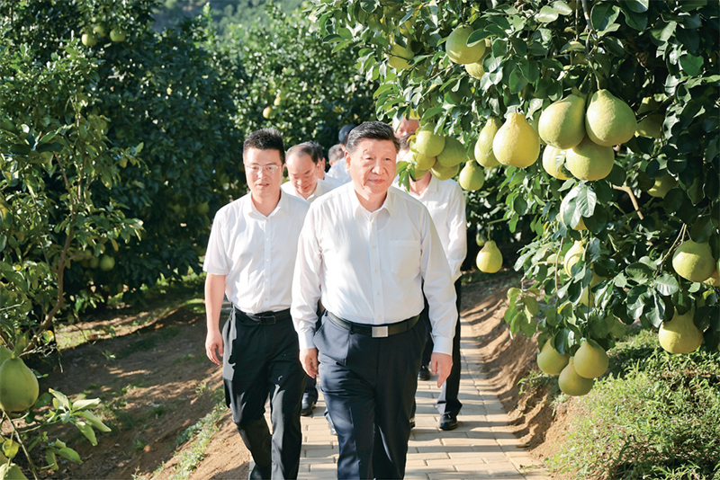 111111.png 111111.png